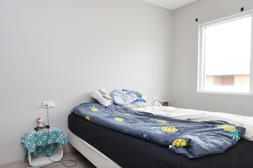 Nice & Cozy Two Bedroom Apartment With A Balcony Akureyri Bagian luar foto